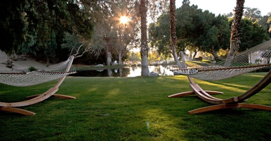 sun shining on yard during summer