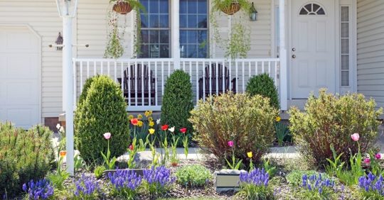 beautiful yard during spring