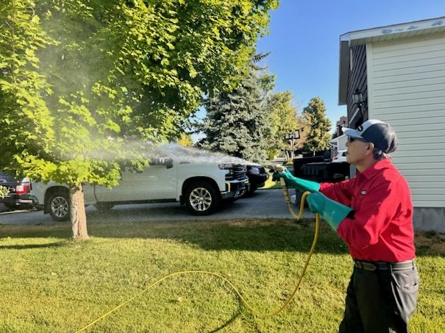 Spray/Pest Control Photo